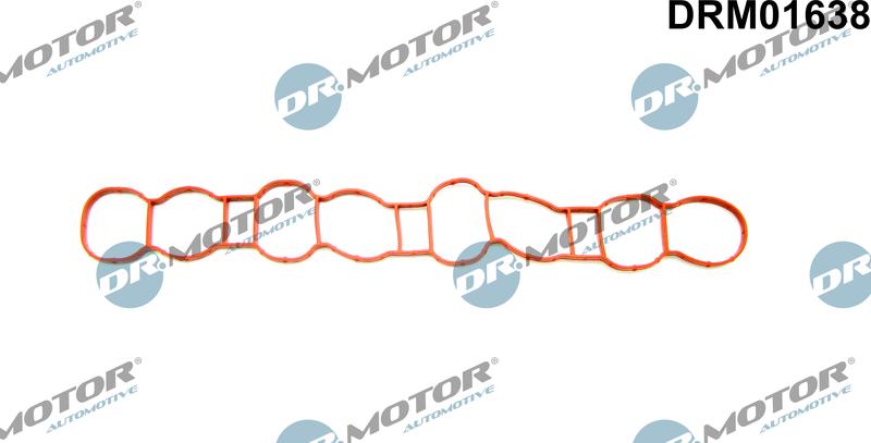 Dr.Motor Automotive DRM01638 - Garnitura, galerie admisie aaoparts.ro