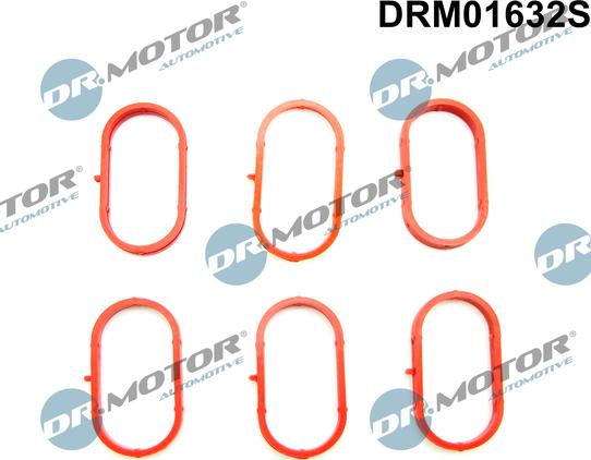 Dr.Motor Automotive DRM01632S - Set garnituri, galerie admisie aaoparts.ro