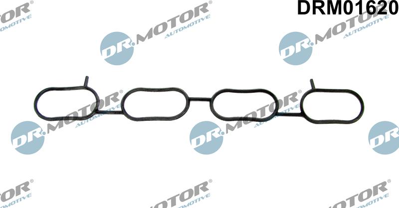 Dr.Motor Automotive DRM01620 - Garnitura, galerie admisie aaoparts.ro