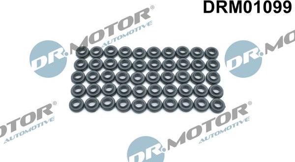 Dr.Motor Automotive DRM01099 - Garnitura, suruburi capac supape aaoparts.ro