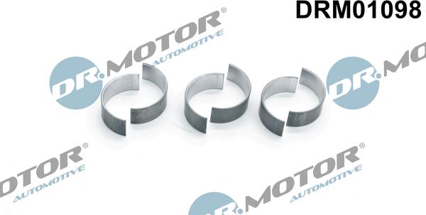 Dr.Motor Automotive DRM01098 - Cuzineti, arbore cotit aaoparts.ro