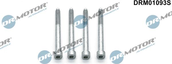 Dr.Motor Automotive DRM01093S - Surub, suport injector aaoparts.ro