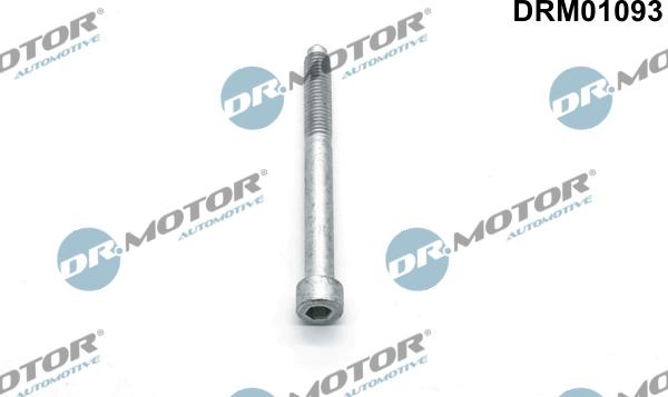 Dr.Motor Automotive DRM01093 - Surub, suport injector aaoparts.ro