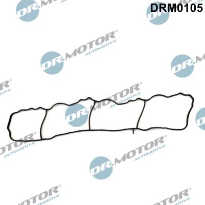 Dr.Motor Automotive DRM0105 - Garnitura, galerie admisie aaoparts.ro