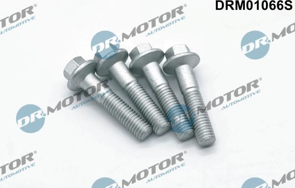 Dr.Motor Automotive DRM01066S - Surub, suport injector aaoparts.ro