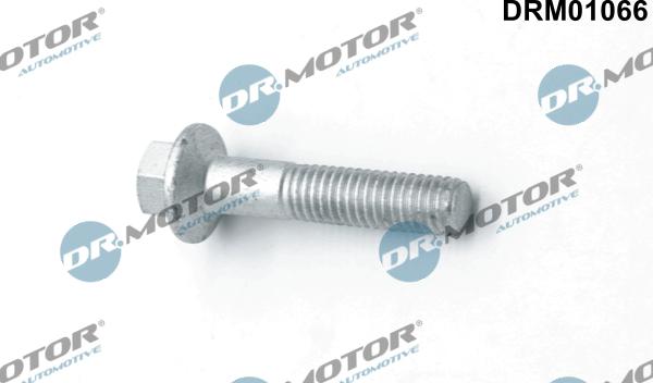 Dr.Motor Automotive DRM01066 - Surub, suport injector aaoparts.ro