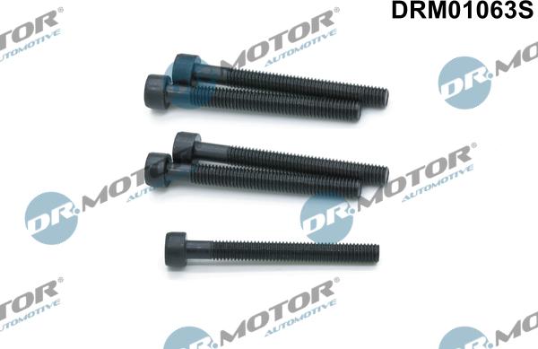 Dr.Motor Automotive DRM01063S - Surub, suport injector aaoparts.ro