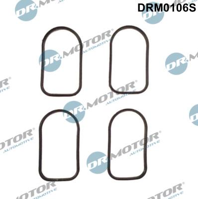 Dr.Motor Automotive DRM0106S - Set garnituri, galerie admisie aaoparts.ro