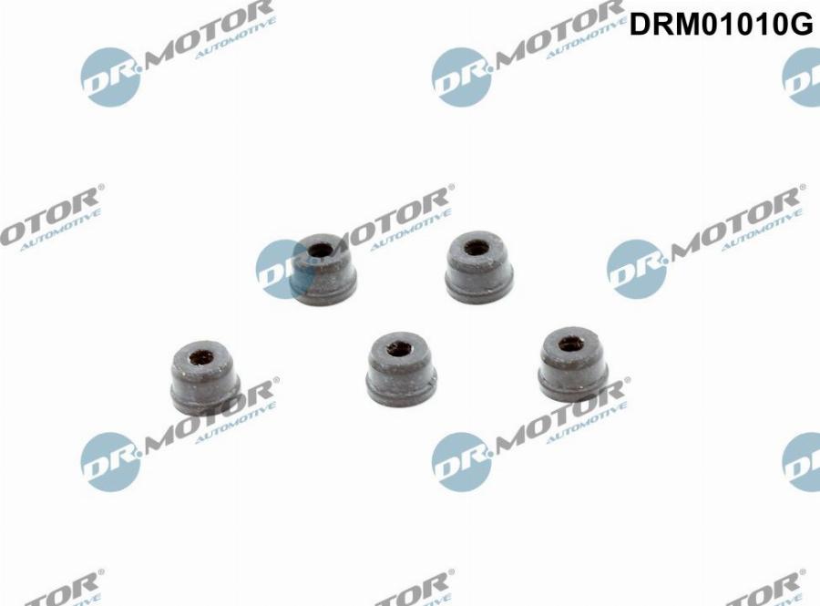 Dr.Motor Automotive DRM01010G - Set reparatie, pompa centrala ambreiaj aaoparts.ro