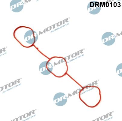 Dr.Motor Automotive DRM0103 - Garnitura, galerie admisie aaoparts.ro