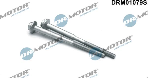 Dr.Motor Automotive DRM01079S - Surub, suport injector aaoparts.ro