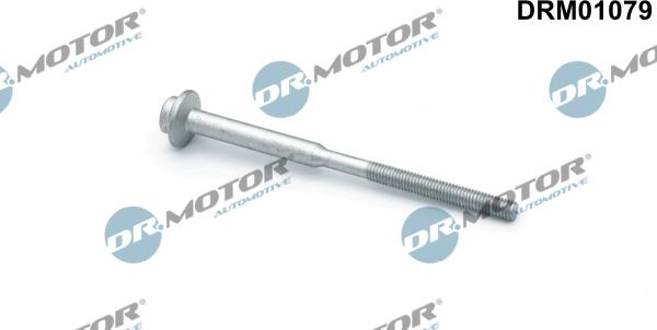 Dr.Motor Automotive DRM01079 - Surub, suport injector aaoparts.ro