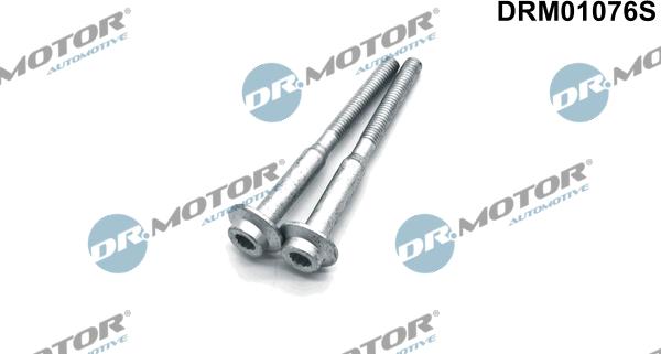 Dr.Motor Automotive DRM01076S - Surub, suport injector aaoparts.ro