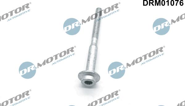 Dr.Motor Automotive DRM01076 - Surub, suport injector aaoparts.ro