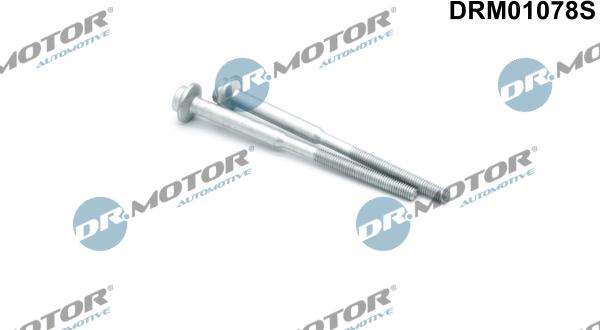 Dr.Motor Automotive DRM01078S - Surub, suport injector aaoparts.ro