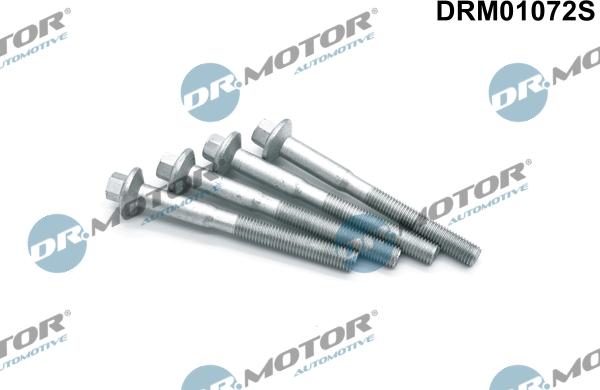 Dr.Motor Automotive DRM01072S - Surub, suport injector aaoparts.ro