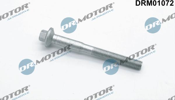 Dr.Motor Automotive DRM01072 - Surub, suport injector aaoparts.ro