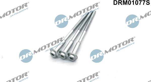Dr.Motor Automotive DRM01077S - Surub, suport injector aaoparts.ro