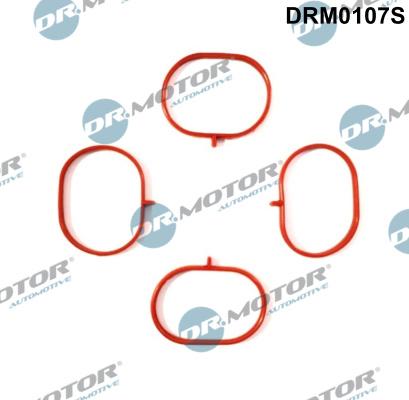 Dr.Motor Automotive DRM0107S - Set garnituri, galerie admisie aaoparts.ro