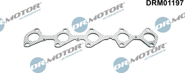 Dr.Motor Automotive DRM01197 - Garnitura, galerie evacuare aaoparts.ro