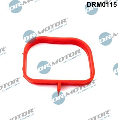 Dr.Motor Automotive DRM0115 - Garnitura, galerie admisie aaoparts.ro