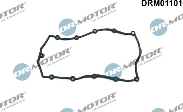 Dr.Motor Automotive DRM01101 - Garnitura, capac supape aaoparts.ro