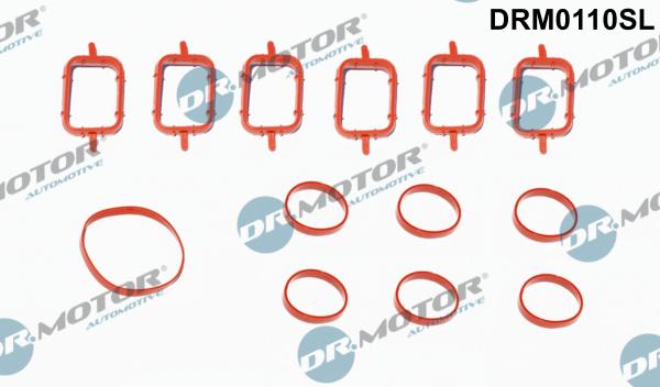 Dr.Motor Automotive DRM0110SL - Set garnituri, galerie admisie aaoparts.ro