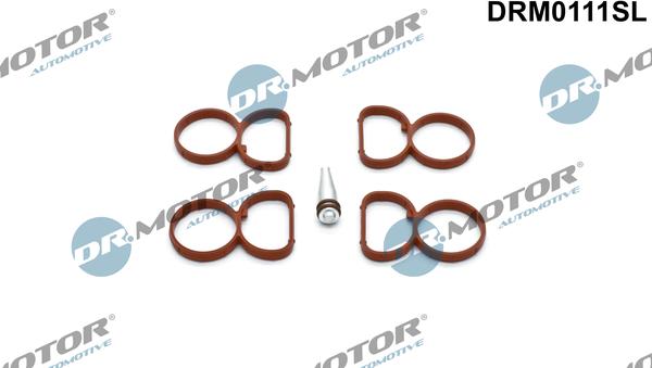 Dr.Motor Automotive DRM0111SL - Set garnituri, galerie admisie aaoparts.ro