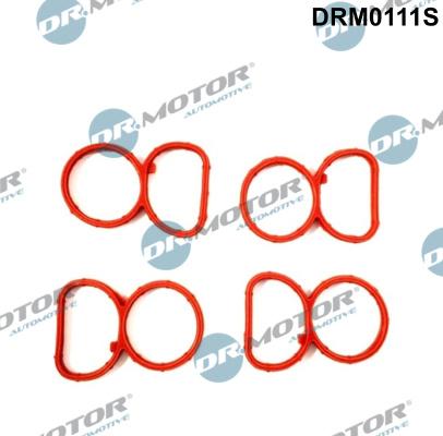 Dr.Motor Automotive DRM0111S - Set garnituri, galerie admisie aaoparts.ro