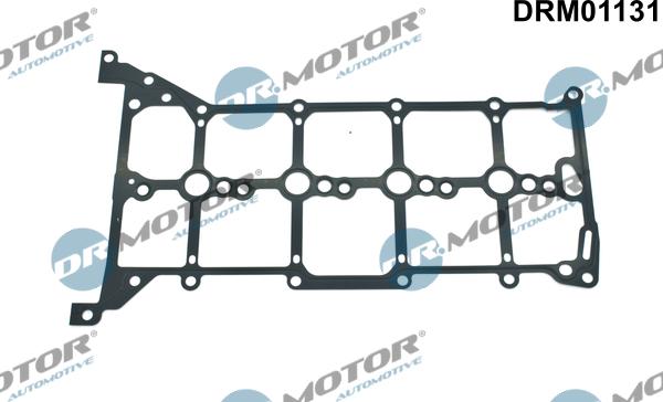 Dr.Motor Automotive DRM01131 - Garnitura, capac supape aaoparts.ro