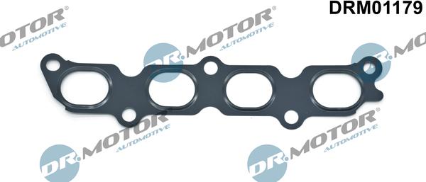 Dr.Motor Automotive DRM01179 - Garnitura, galerie evacuare aaoparts.ro