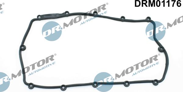 Dr.Motor Automotive DRM01176 - Garnitura, capac supape aaoparts.ro