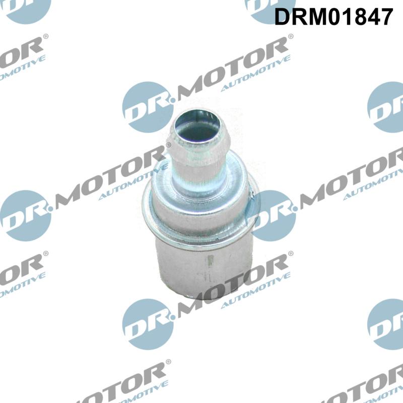 Dr.Motor Automotive DRM01847 - Ventil, aerisire carter aaoparts.ro