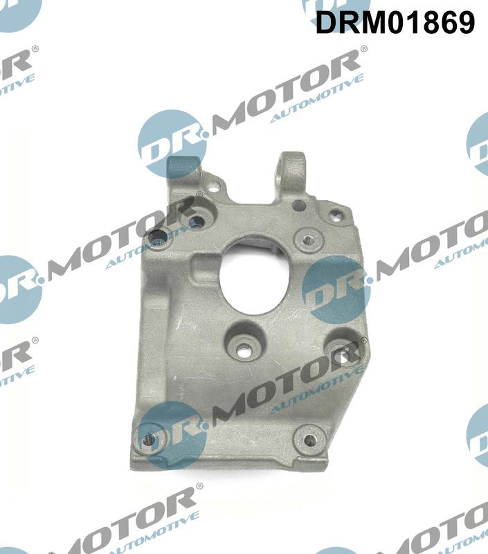 Dr.Motor Automotive DRM01869 - Suport, compresor aaoparts.ro
