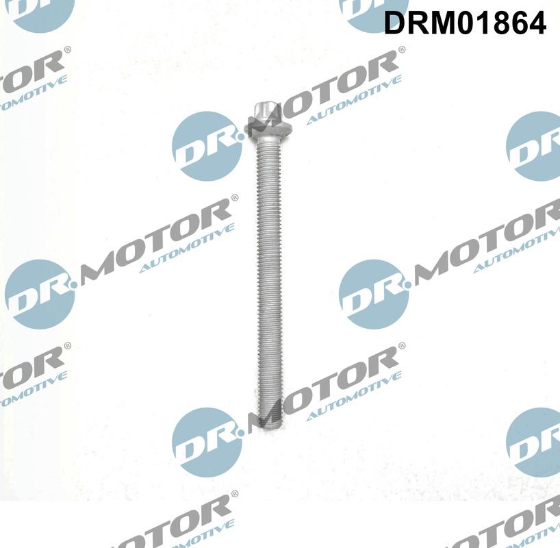 Dr.Motor Automotive DRM01864 - Surub, suport injector aaoparts.ro