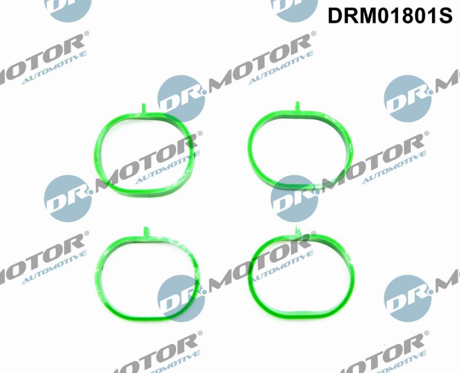 Dr.Motor Automotive DRM01801S - Set garnituri, galerie admisie aaoparts.ro