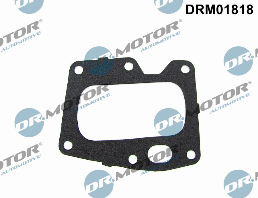 Dr.Motor Automotive DRM01818 - Garnitura, ventil AGR aaoparts.ro