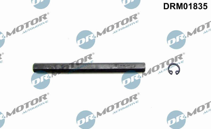 Dr.Motor Automotive DRM01835 - Arbore antrenare, Pompa ulei aaoparts.ro