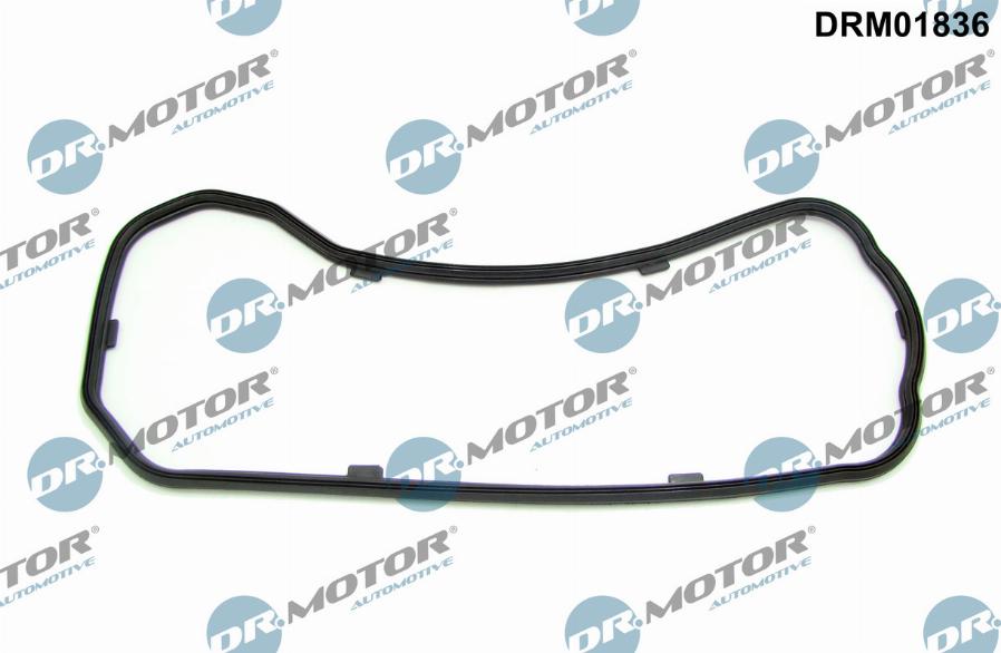 Dr.Motor Automotive DRM01836 - Garnitura baie ulei aaoparts.ro