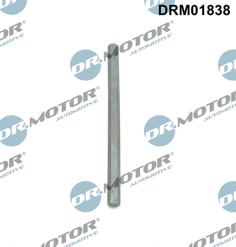 Dr.Motor Automotive DRM01838 - Arbore antrenare, Pompa ulei aaoparts.ro