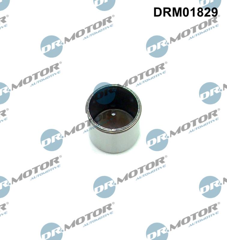 Dr.Motor Automotive DRM01829 - Tija, pompa inalta presiune aaoparts.ro