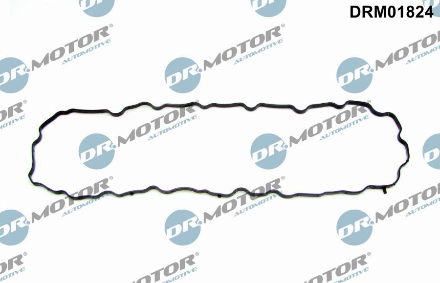 Dr.Motor Automotive DRM01824 - Garnitura baie ulei aaoparts.ro