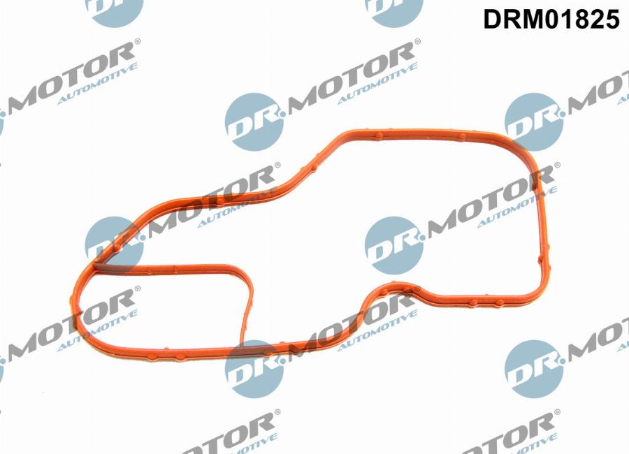 Dr.Motor Automotive DRM01825 - Garnitura, carcasa termostat aaoparts.ro