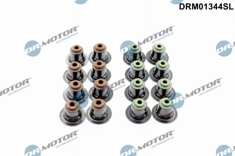 Dr.Motor Automotive DRM01344SL - Set garnituri, ax supape aaoparts.ro