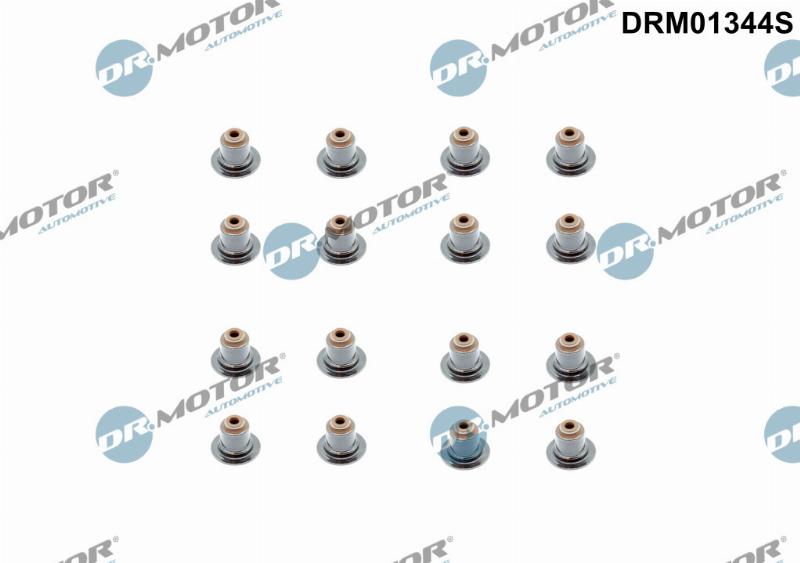 Dr.Motor Automotive DRM01344S - Set garnituri, ax supape aaoparts.ro