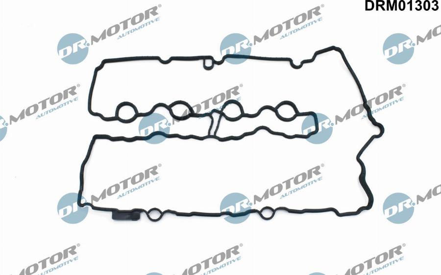 Dr.Motor Automotive DRM01303 - Garnitura, capac supape aaoparts.ro