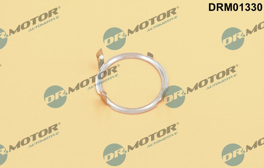 Dr.Motor Automotive DRM01330 - Garnitura, ventil AGR aaoparts.ro