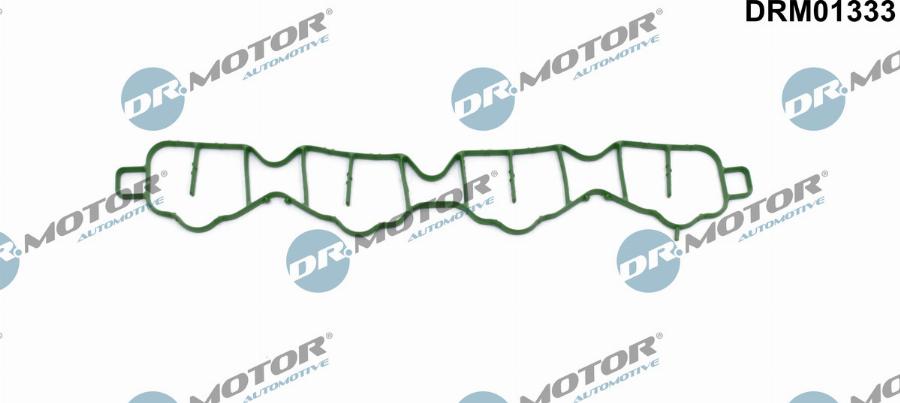 Dr.Motor Automotive DRM01333 - Garnitura, galerie admisie aaoparts.ro