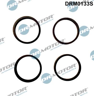 Dr.Motor Automotive DRM0133S - Set garnituri, galerie admisie aaoparts.ro