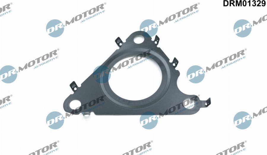 Dr.Motor Automotive DRM01329 - Garnitura, ventil AGR aaoparts.ro